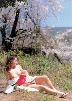 Japanese Bondage - Anna Fubuki