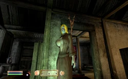 Oblivion: Blue Eyed Darkelf Chronicles 3