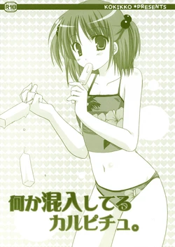 (C72) [Kokikko (Sesena Yau)] Nanika Konnyuu Shiteru Karupichu. (Hayate no Gotoku!)