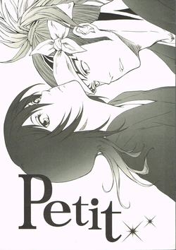 (HaruCC13) [HONEY CANON (Takamiya Haruya)] Petit (Bleach)