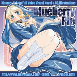 (C63) [Tange Kentou Club(Yokota Mamoru)] Blueberry Pie