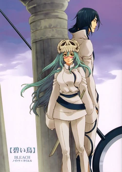 (C76) [HONEY CANON (Takamiya Haruya)] Aoi Tori (Bleach)