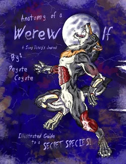 Anatomy of a Werewolf