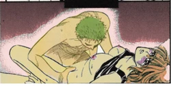 Zoro x Nami (One Piece)