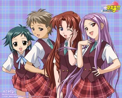 Negima Wallpaper