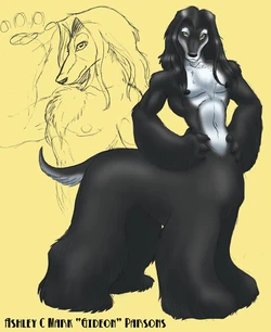 [Gideon] - Some Hidden Macrophile Directories