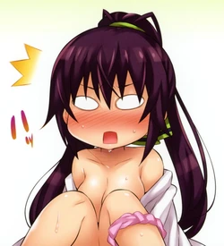 (COMIC1☆5) [Kusari Caterpillar (Yoshiron)] Into Shower (IS <Infinite Stratos>)