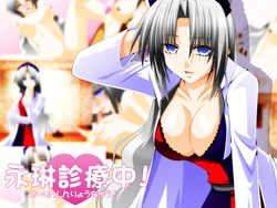 [Fake gate] Eirin Shinryouchuu! (Touhou Project)