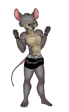 Anthro MIce