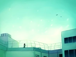 Wallpapers and Larger images.