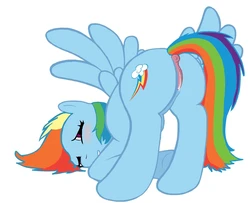 RULE 34 PONIES (Rainbow Dash)
