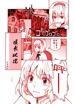 成長狀況 (Touhou Project) (chinese)