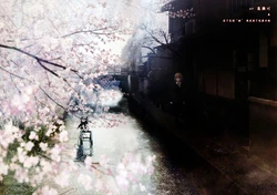 (C77) [Rubicon Hearts (Kobayashi Jin, Takeuchi Takashi)] Kyouto, Haru. [Chinese] [标准汉化版]