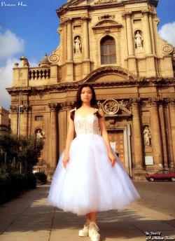 asian star Shin_Vivian_Hsu