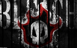 Bleach Wallpapers