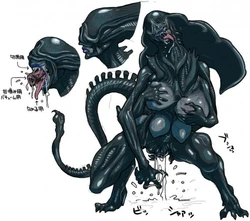 Aliens and Predators