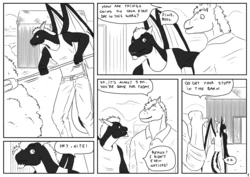 [James Howard] Stallion & Nite