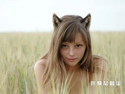 Horo (Spice and Wolf)