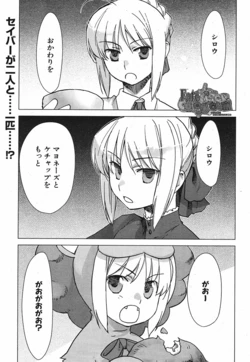 [TYPE-MOON・キャビア&times;石田あきら] Fate／タイガーころしあむ [2007-10]