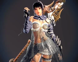 Mabinogi / Vindictus