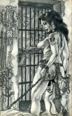 Henmi Yamihiko -