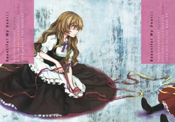 (CT16) [Hoshikuzu Dolce (Kayako)] Beautiful My Dear/2 (Touhou Project) [Chinese]