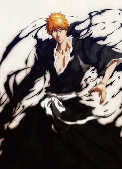 Bleach Calendar 2012