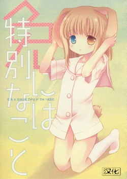 (C78) [Hakka-ya (Tokumi Yuiko)] Usagi ni wa Tokubetsu na Koto (Saki) [Chinese]