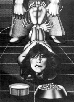 The Bishop [drawings]