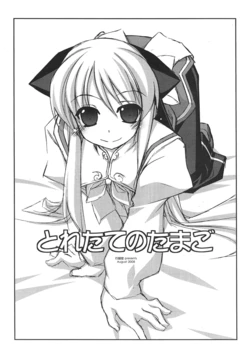 (C74) [ANGYADOW (Shikei)] Toretate no Tamago (Various)