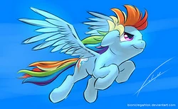 Gallery: Rainbow Dash