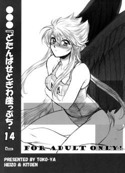 (C74) [Toko-ya (HEIZO, Kitoen)] Dotanba Setogiwa Gakeppuchi 14 (Breath of Fire II)