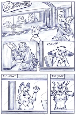 [Flinters] SugarNutz: Attention to Detail