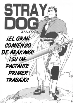Stray Dogs