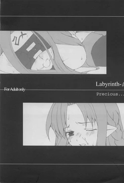 (CR35) [Precious... (Haoto Luna)] Labyrinth-&beta; (Fate/stay night)