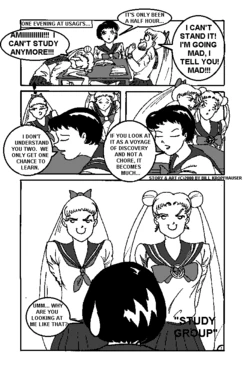 [Bill Kropfhauser] Study Group (Sailor Moon)