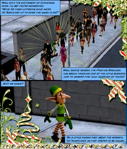 Elf Incident