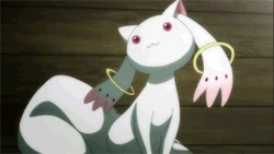 Mahou Shoujo Madoka Magika gif collection