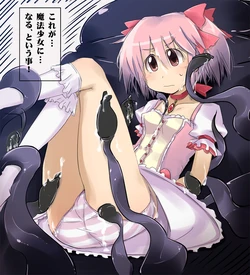 [Morisaki Hichimi (Hitimiso)] 魔法少女になるという事