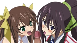 [Mokke] Ore TYPE (Infinite Stratos)