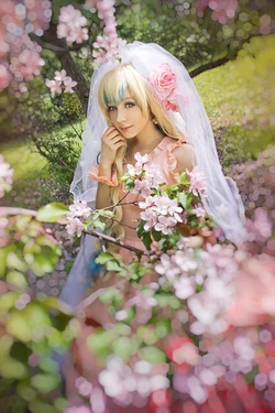 some cosplay collection