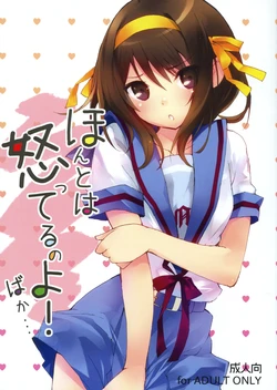 [Toward the Sky (Yuuka)] Honto wa Okotteru no yo! Baka... | I Really Am Angry! Idiot... (Suzumiya Haruhi no Yuuutsu) [Vietnamese Tiếng Việt] [Góc Hentai] [2011-04-22]