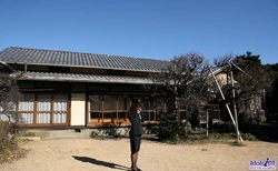 Japanese Widow