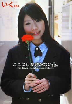 The flower which blooms only here.