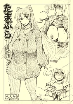 (C81) [Sago-Jou (Seura Isago)] Tamabura (ToHeart2)
