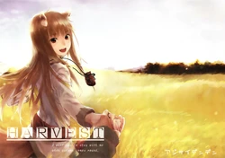 (SC52) [Ajisaidenden (Kawakami Rokkaku, Takanashi Rei)] Harvest (Spice and Wolf) [Chinese] [空気系★汉化]