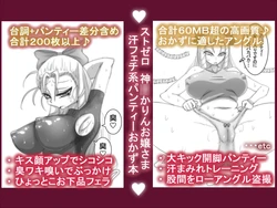 [Kotatsu Guild] StZero Kanzuki Karin Ojousama Ase Feti-kei Panty Okazu Hon (Street Fighter)