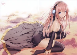 Random Wallpaper & Widescreen
