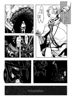 [SHIS (Z-ton)] Schizanthus [Spanish] [Japandream]