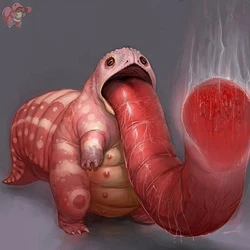 soupandbutter's pokemon revamp